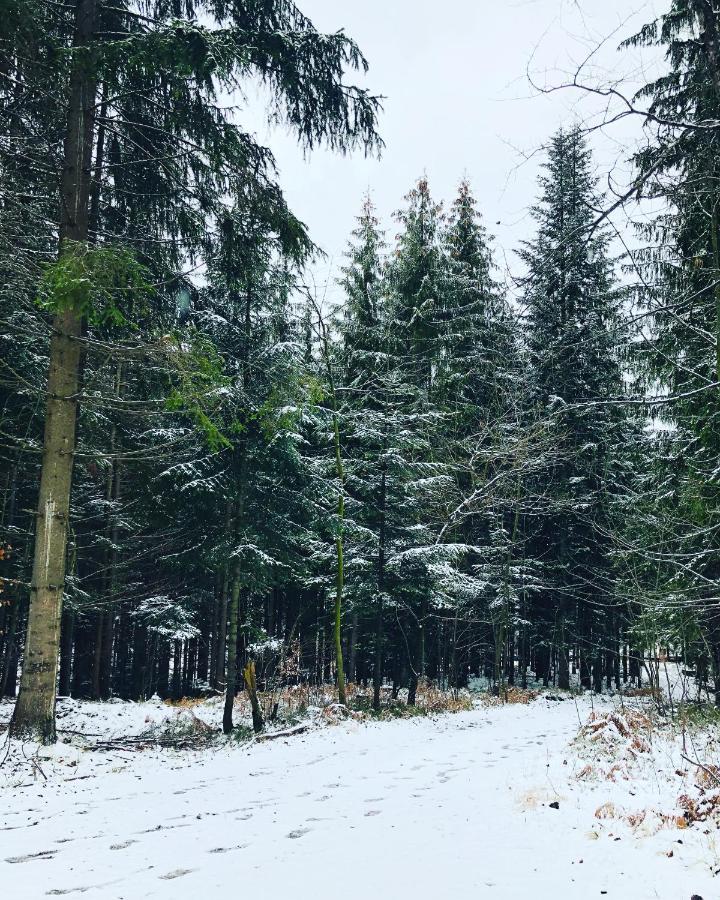 Beskid Wood Houses Jasnowice Luaran gambar